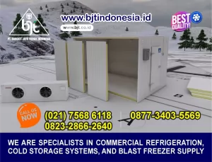 Cold Storage Chiller Freezer Kapasitas 15 Ton dengan Mesin Customize Bitzer
